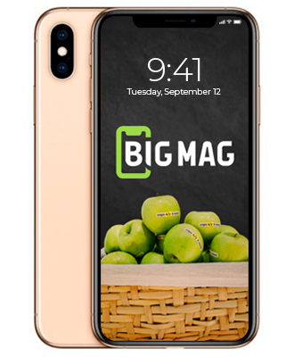 б/у iPhone XS Max 512GB Gold (MT582)